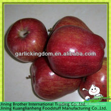 China deliciosa manzana roja exportador